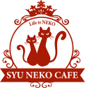シュネコカフェ―西日本初短足猫専門猫カフェ―